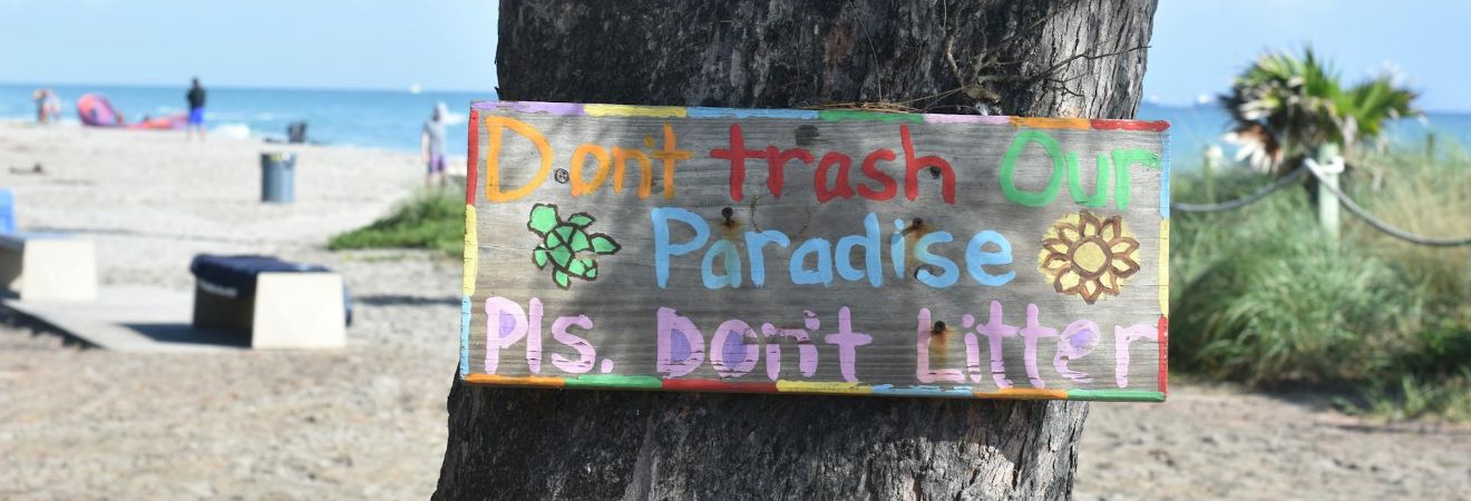a wooden board with "please don't trash our paradise" written on it and placed on a tree in Dania Beach