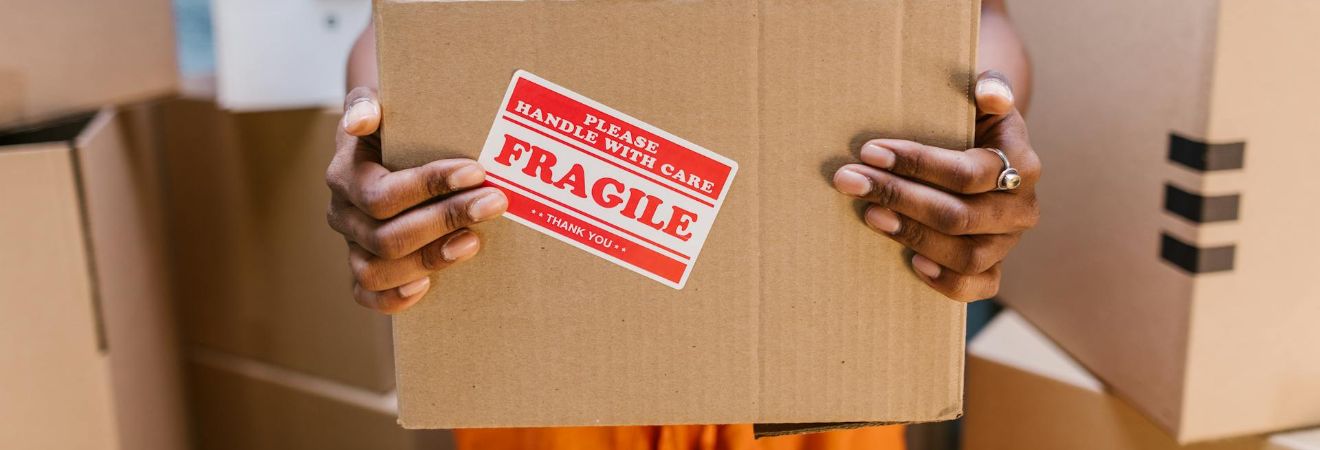 Person carrying a box