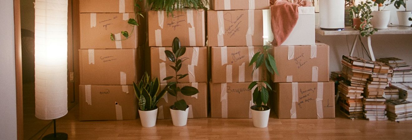 a pile of cardboard boxes